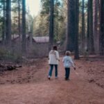 People walking a forest trail