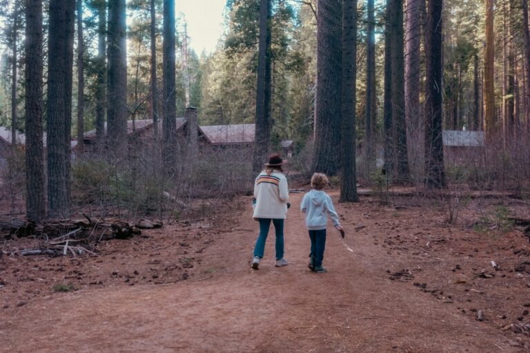 People walking a forest trail